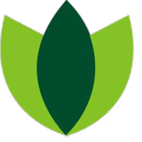 Acupuncture Treatment & Therapy